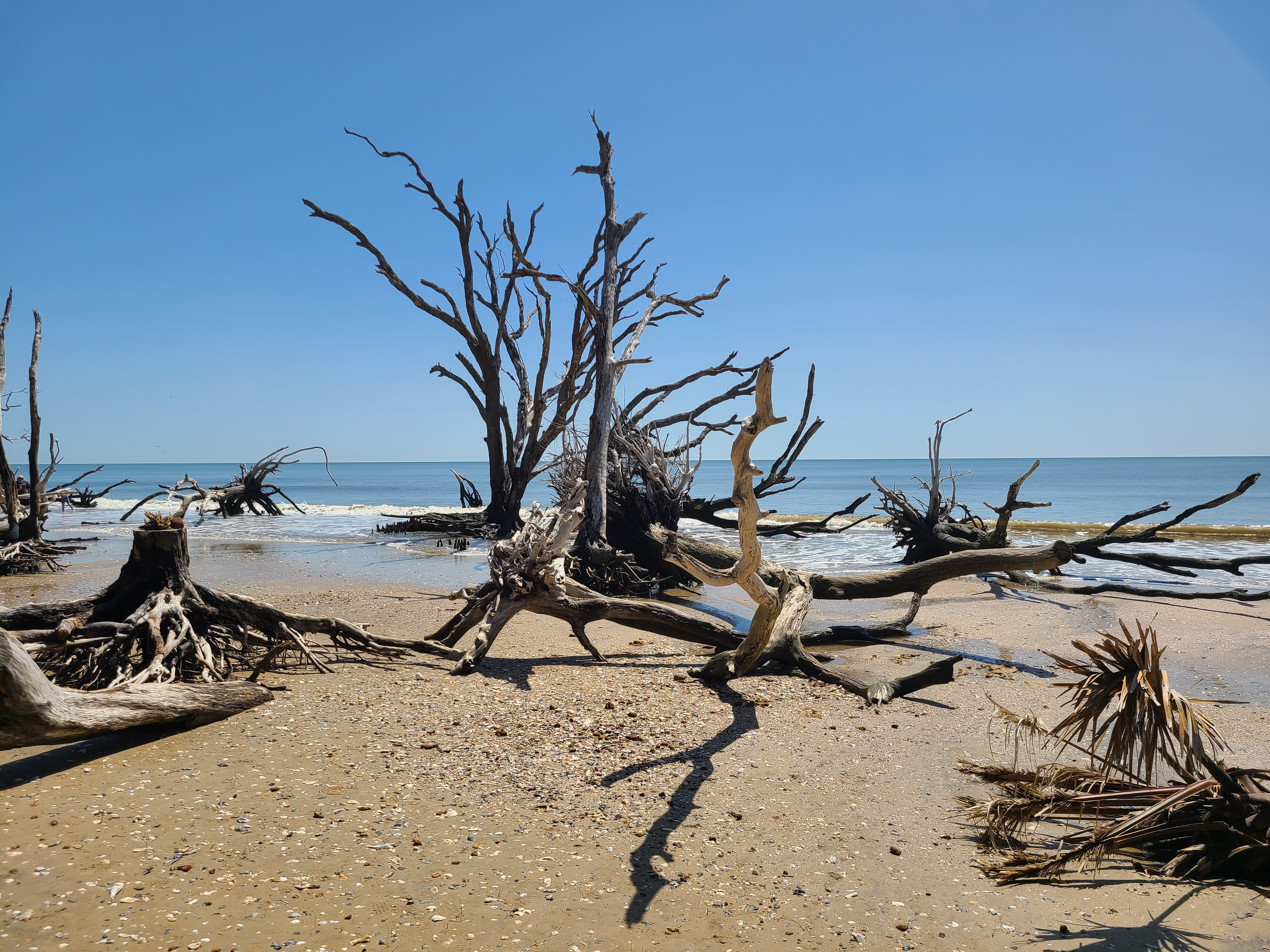 Exploring Charleston: Botany Bay at Edisto Island