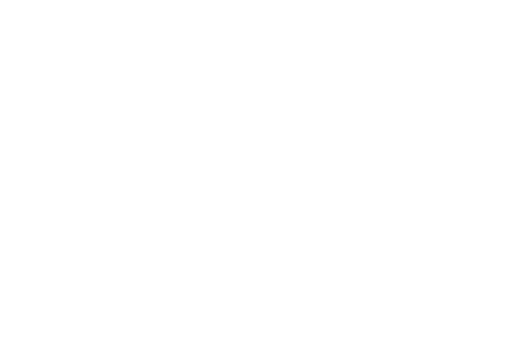 Avondale Logo