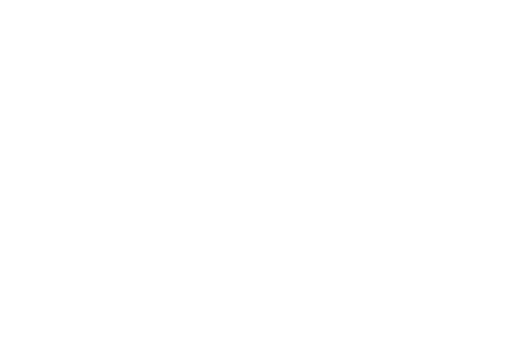 Greensboro Auto Auction