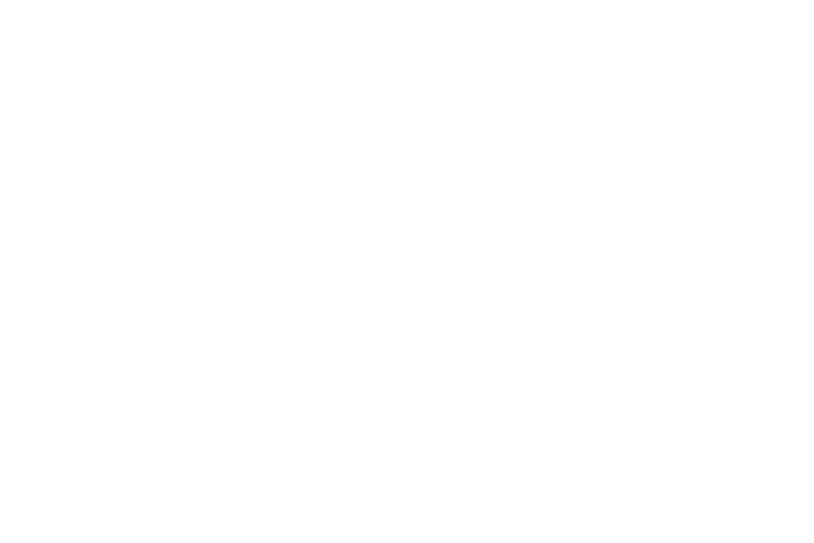 dj Logo